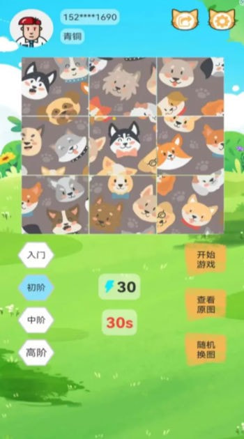 宠物乐拼图0