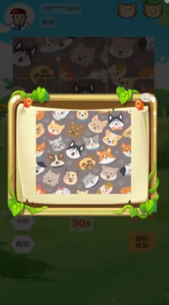 宠物乐拼图2