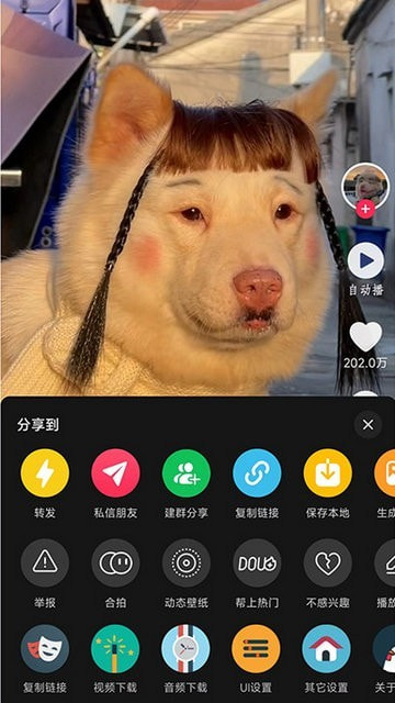 逗音小能手1