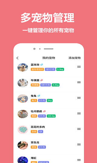 宠物王国1