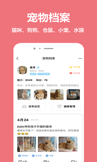 宠物王国3