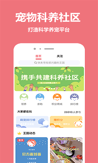 宠物王国4