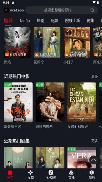 网飞猫1