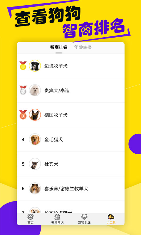 狗语翻译器0