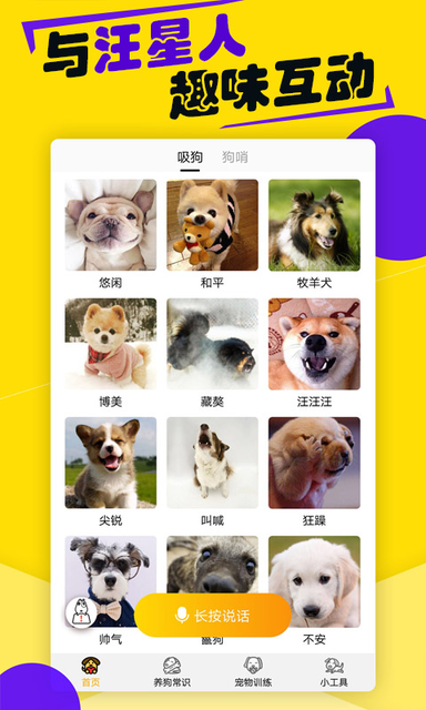 狗语翻译器3