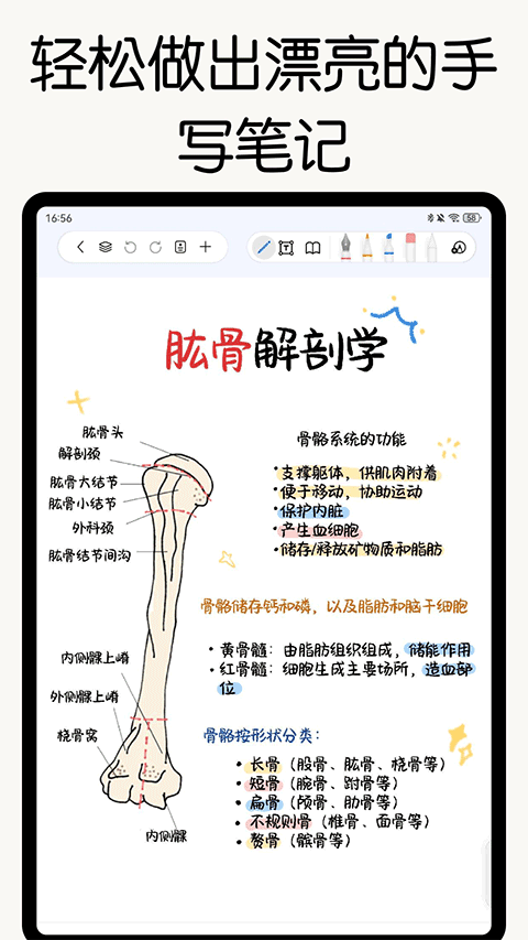 自由笔记4