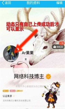 Q动态头像2