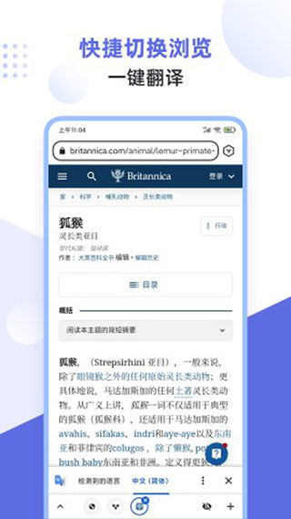 狐猴浏览器3