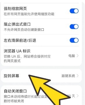 波波浏览器蓝色版
