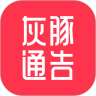 灰豚通告官方版下载-灰豚通告手机版下载v1.6.1