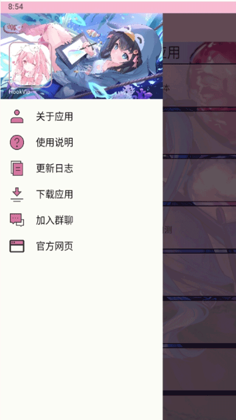 HookVip模块1