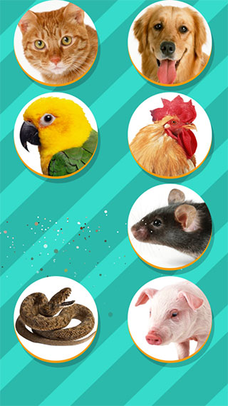 Pet Translator0