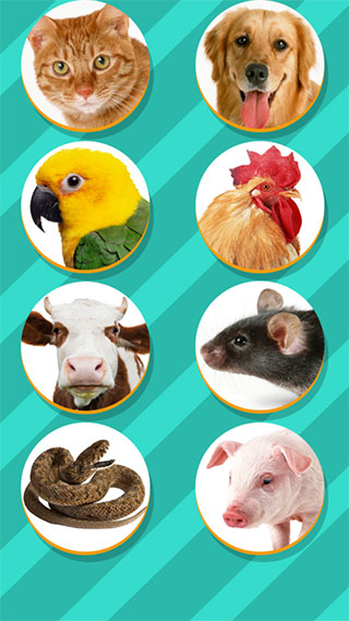 Pet Translator2