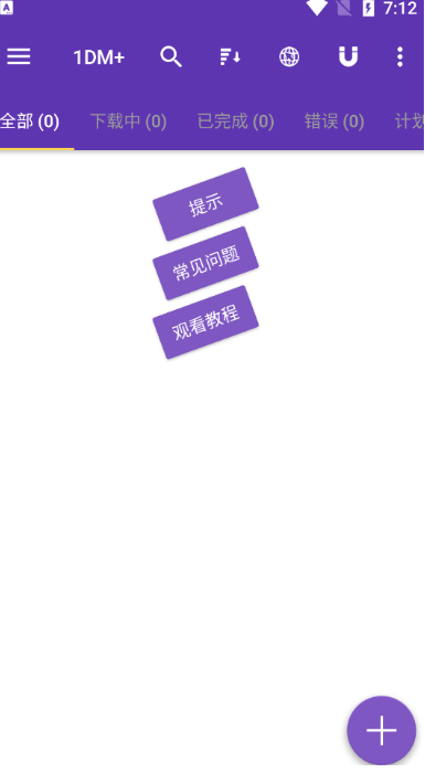 IDM专业版0